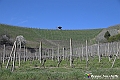 VBS_8906- Risvegli